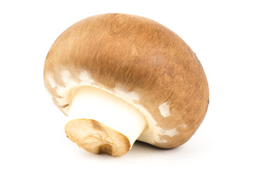 Fototapeta premium Fresh champignon mushroom