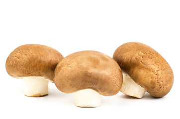 Fresh Champignon mushroom