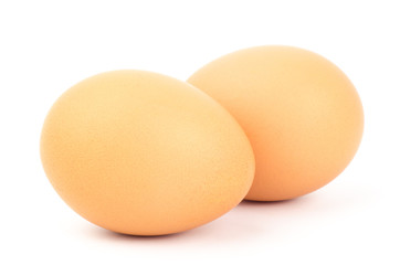 Egg