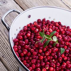 cranberries in a colander