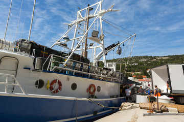 Naklejka premium Déchargement de poisson du bateau de pêche