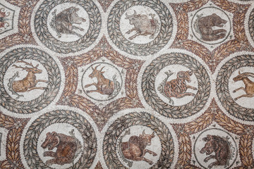 Tunisia traditional arabic decorative