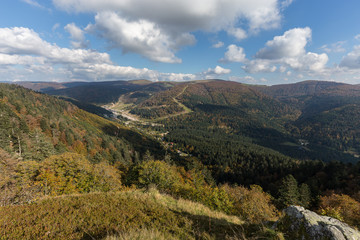 l'automne en forêt vosgienne