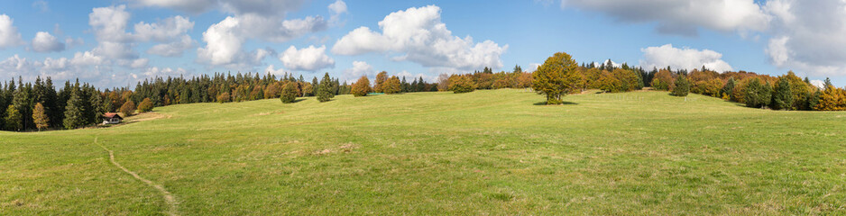 panorama d'une prairie d'altitude des Vosges