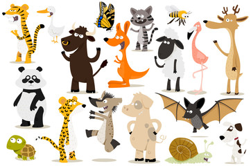 Obraz na płótnie Canvas collection d’animaux pour enfants