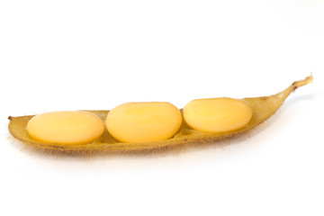 Boiled soybean isolated on the white background