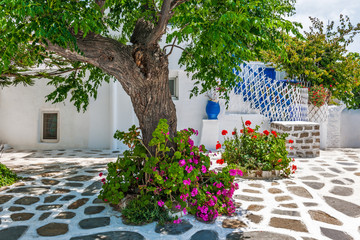 Tree-shaded square in Mykonos old town