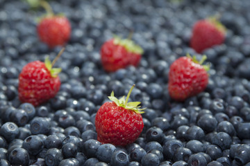 Background of blueberries and strawberries.