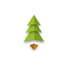 Obraz premium green christmas tree