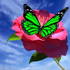 Beautiful Flower and butterfly against the sky