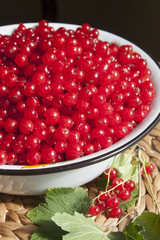 Red currant berries in a large bowl  and a bunch of currant clos