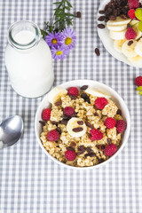 granola with fruits and bottle of fresh milk