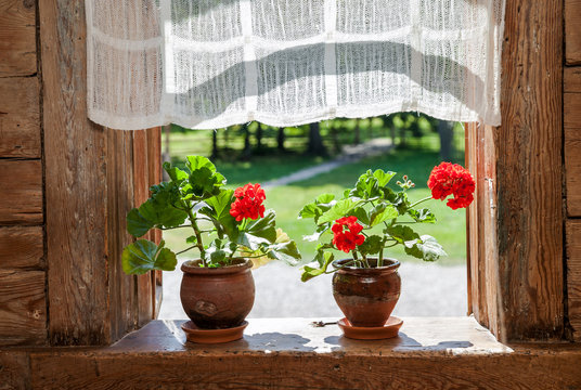 Geranium flowers on the window of rural wooden house on a sunny
