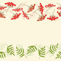 Rowan berry border
