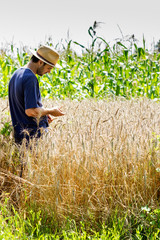 Naklejka na ściany i meble Young farmer standing in a wheat field