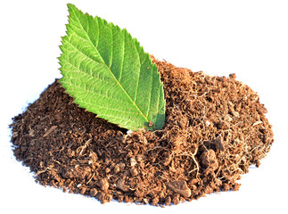 Pile of brown clay with green leaf