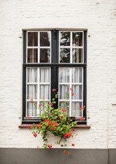 Fototapeta na wymiar Window with garden in Brugge