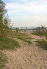 Fototapeta premium entlang der Elbe-Rissen-Hamburg