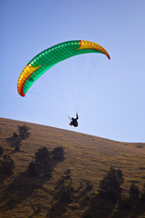 Paraglider
