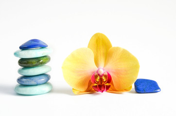 Fototapeta na wymiar Jade Prehnit Lapislazuli mit Orchideenblüte
