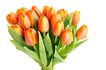 Beautiful bouquet of fresh orange tulips