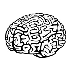 Brain
