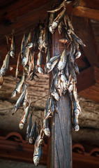 Small salted fish is dried on air