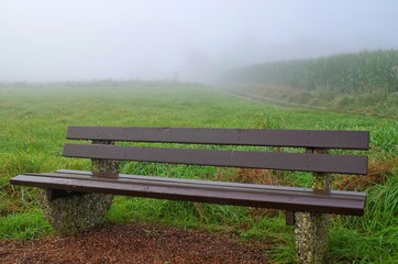 Eine Sitzbank im Regen und Nebel