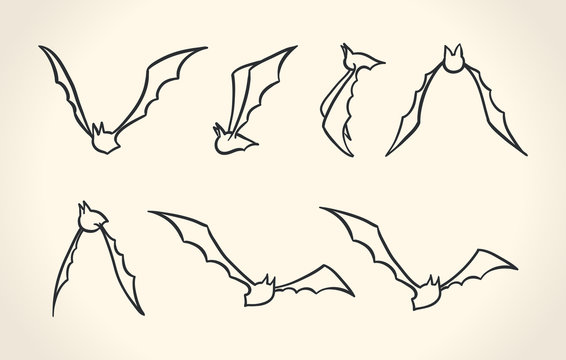 Bat silhouettes, Halloween vector illustration