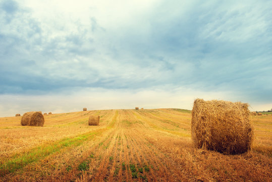 Landscape with straw bales on agricultural  field