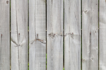 Old gray wooden fence, detailed background texture
