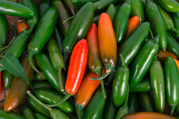 close up jalapeno pepper - obrazy, fototapety, plakaty
