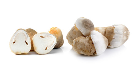 Fresh rice straw mushrooms
