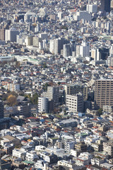 Fototapeta na wymiar 新宿　都庁舎からの展望