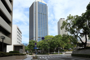 Obraz na płótnie Canvas 神戸市役所とその周辺