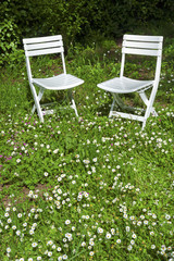 White chair in green garden