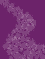 Fototapeta na wymiar Leaves on violet
