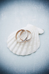 Rose wedding rings on seashell 