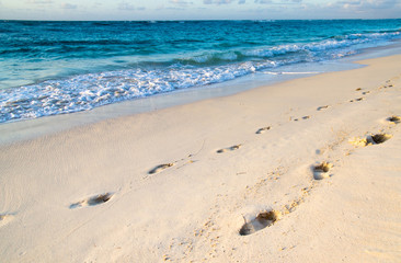 tropical sea
