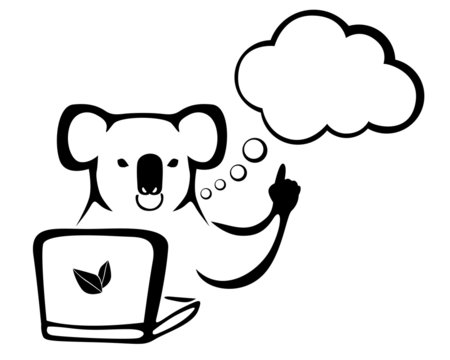 The koala with a laptop