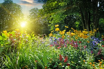 Behangcirkel summer park with a beautiful flower bed © alinamd