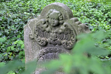 Fototapeta na wymiar Johannisfriedhof in Lemgo