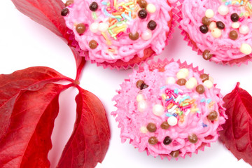 red leaves and muffins