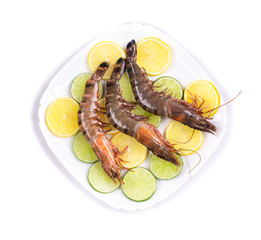 Raw tiger shrimps on plate.
