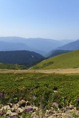 Caucasus Mountains