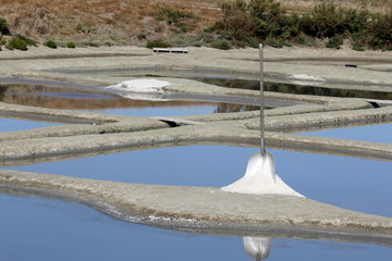 Marais salants de Noirmoutier