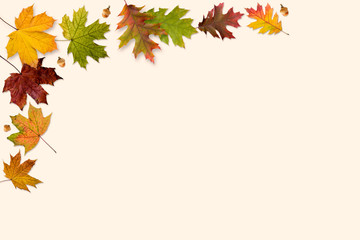 Naklejka na ściany i meble A frame made with autumn leaves isolated on beige background