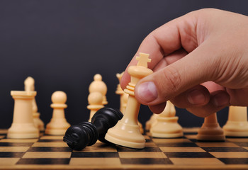 checkmate © vetkit