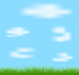 Fototapeta na wymiar Natural green grass and blue background