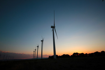 Molinos de viento